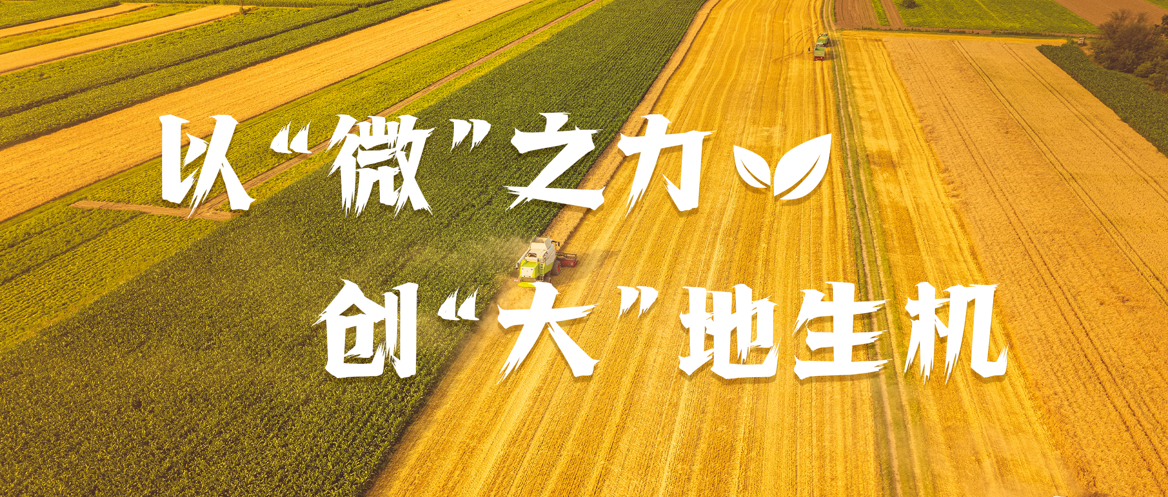 &#21326;&#20307;&#20250;&#104;&#116;&#104;